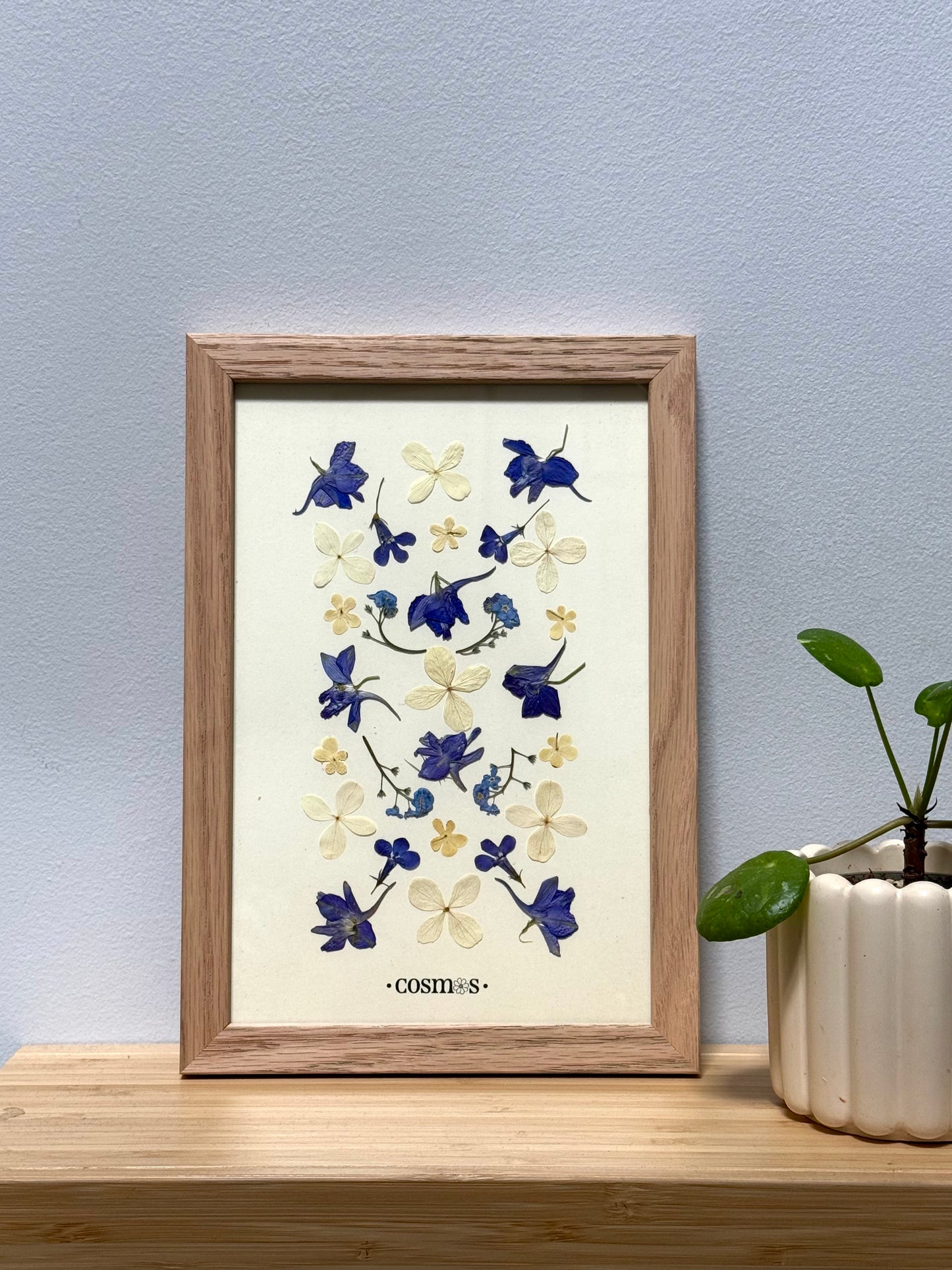 Herbier - bleu