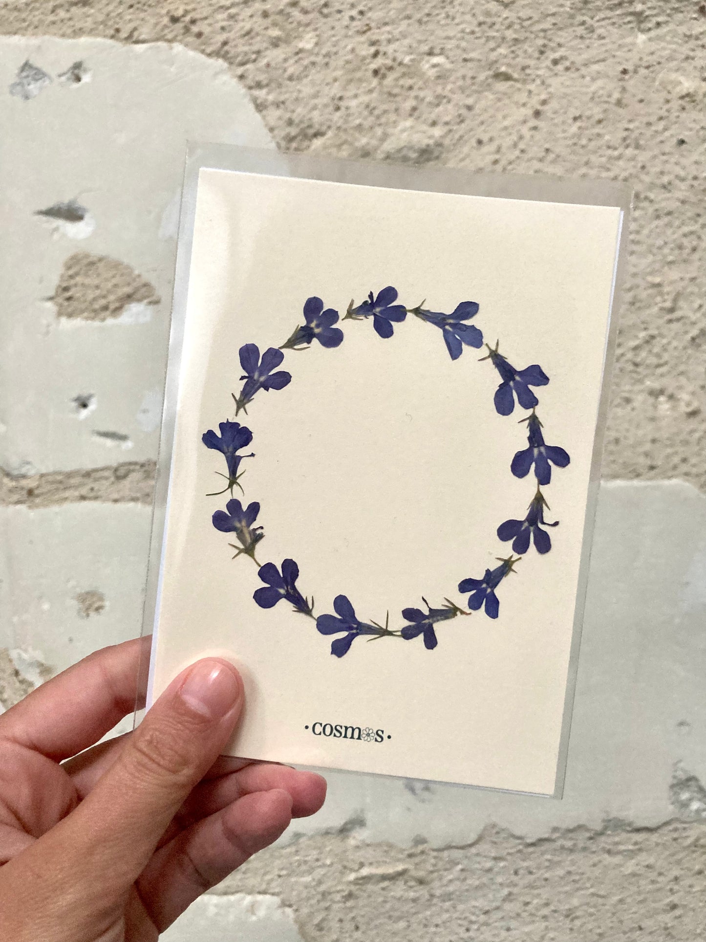 Mini-herbier - lobélias
