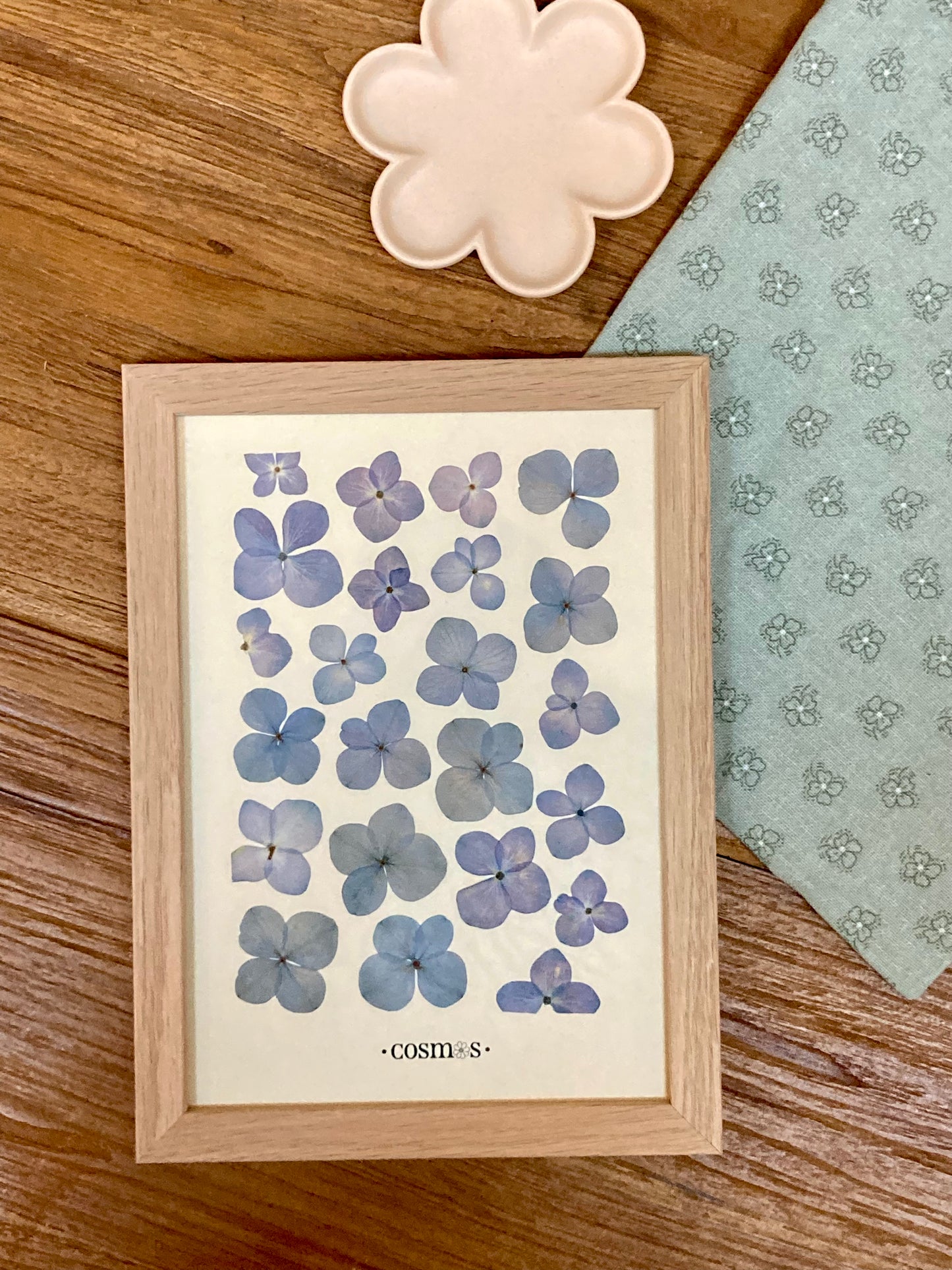 Herbier - hortensias bleu