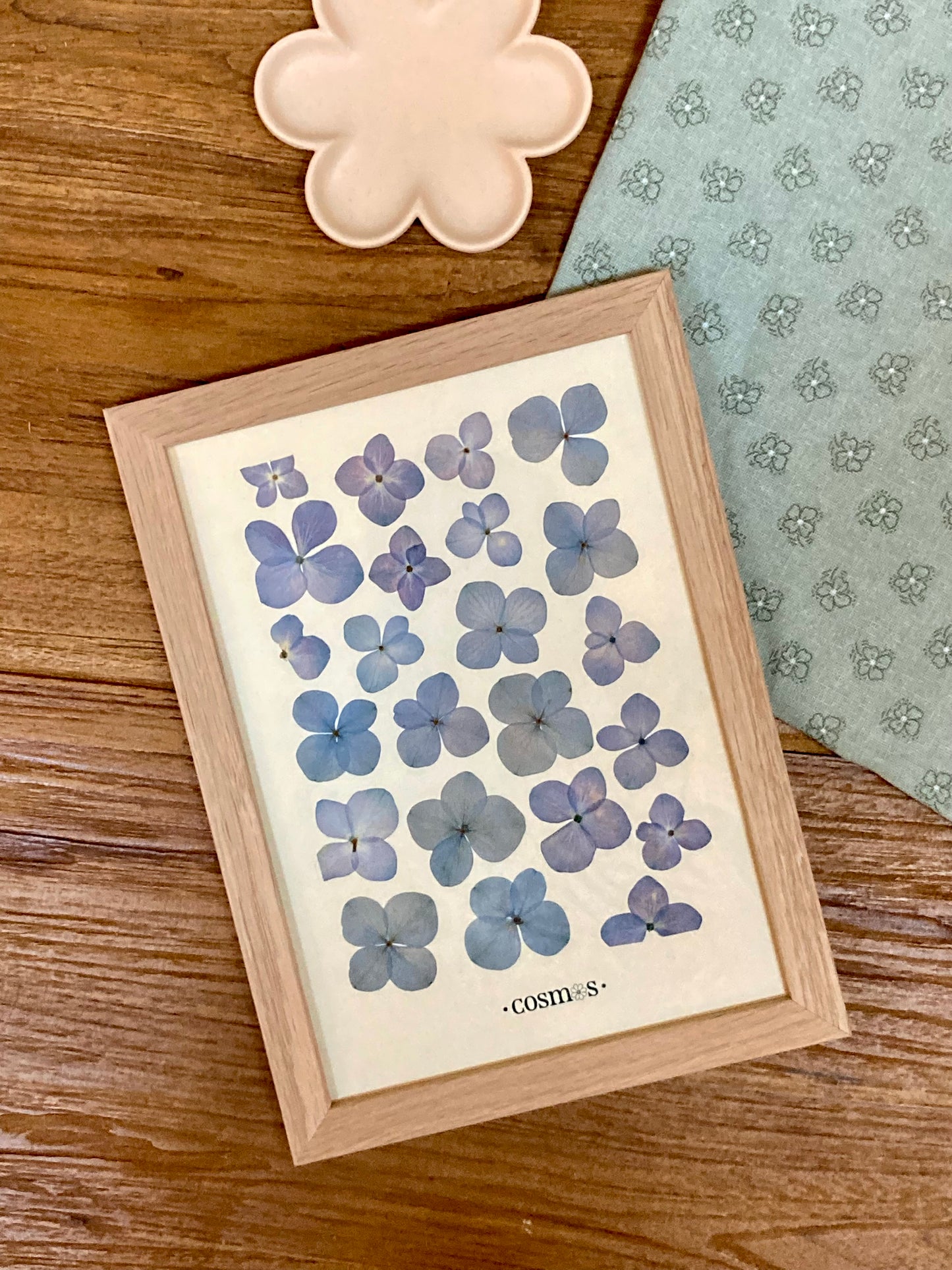 Herbier - hortensias bleu