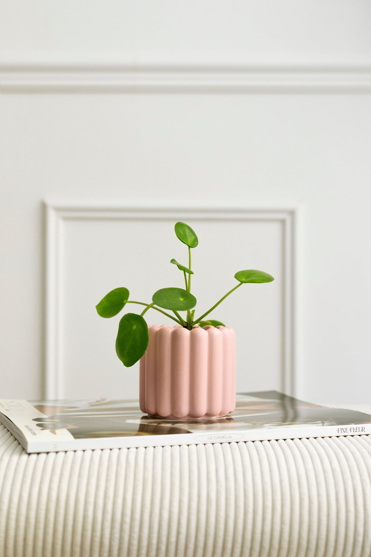 Cache-pot - rose