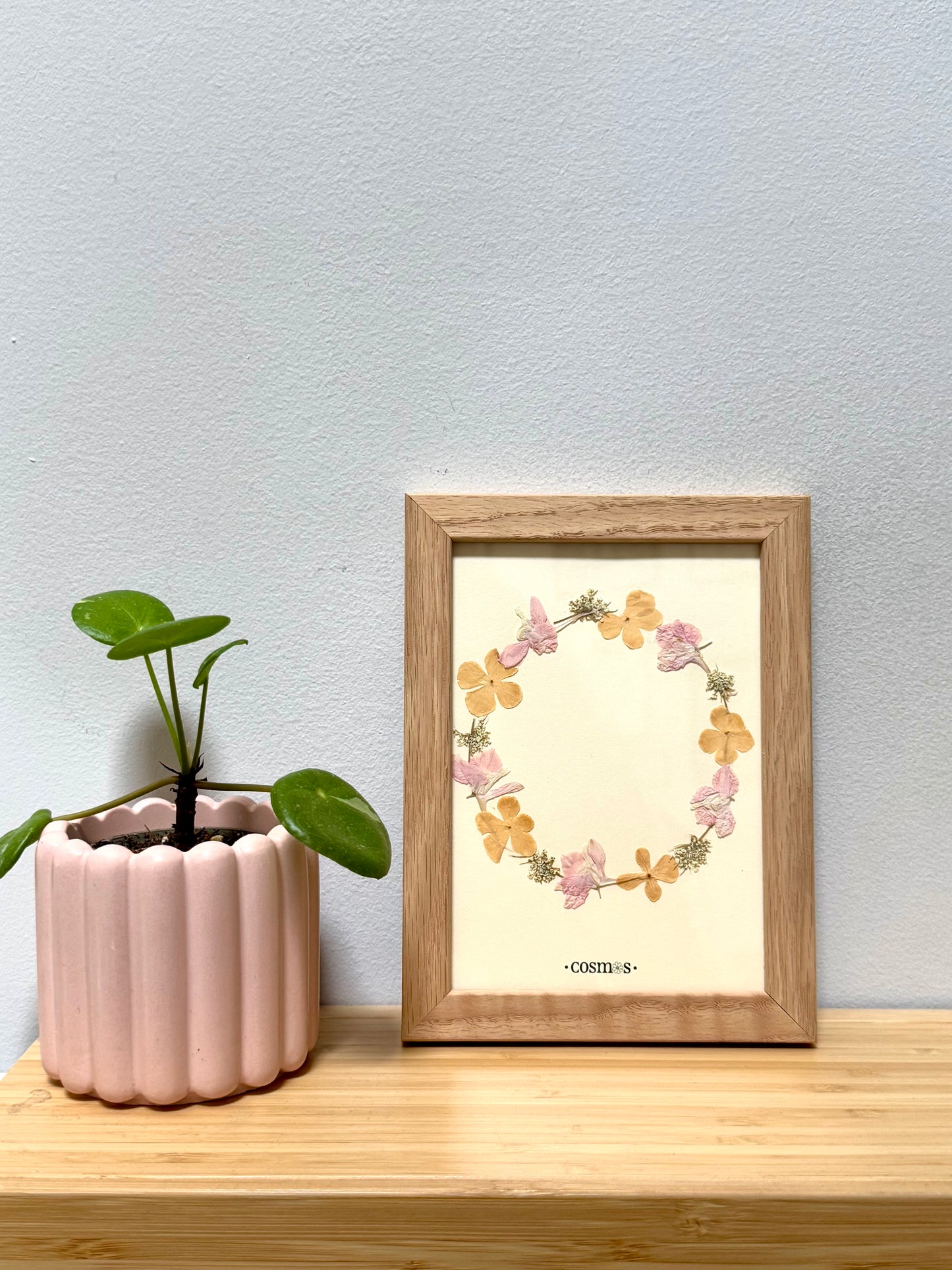 Mini-herbier - couronne