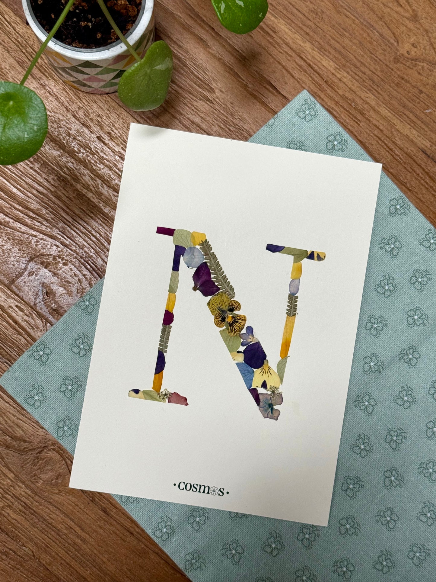 Herbier - lettre