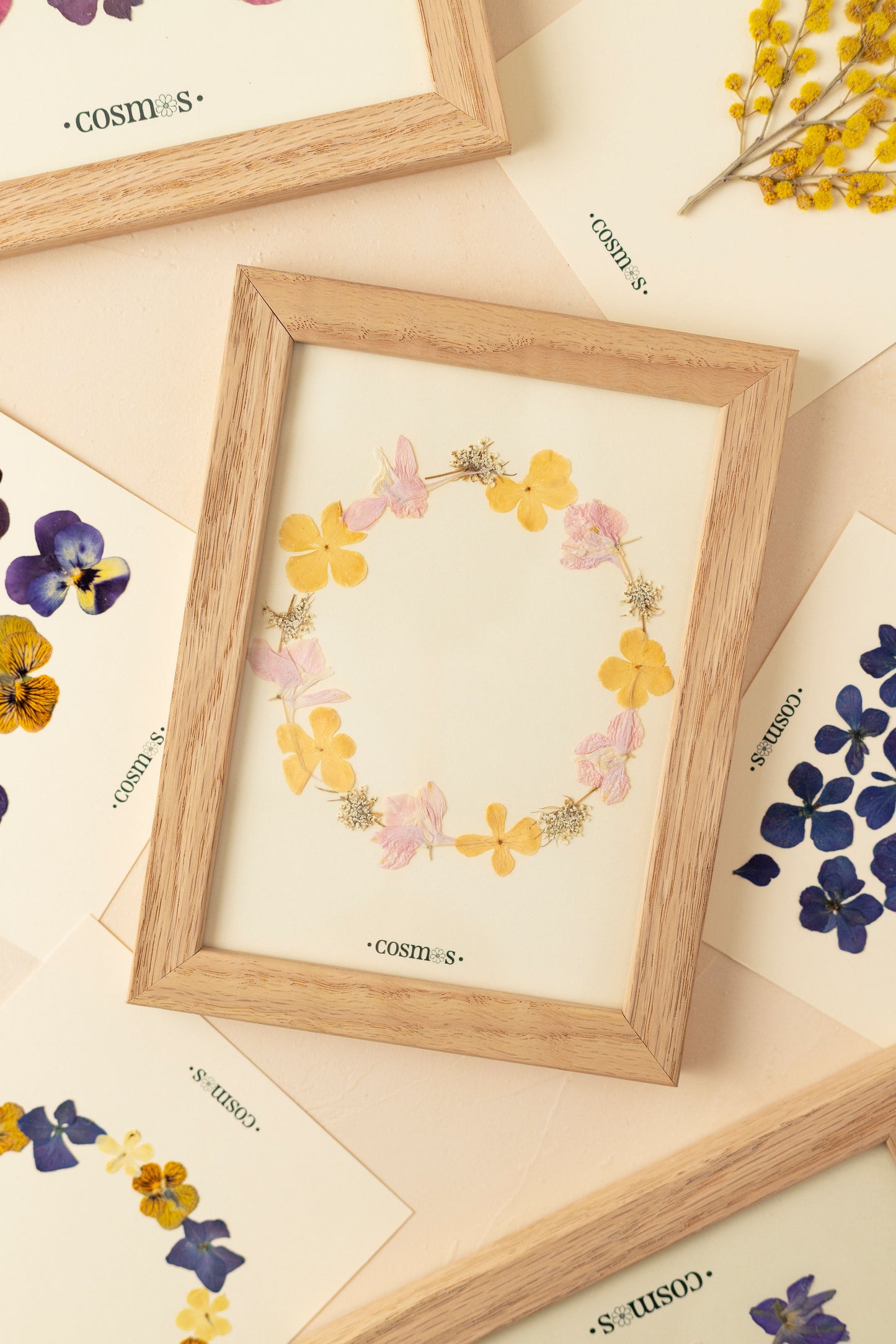 Mini-herbier - couronne